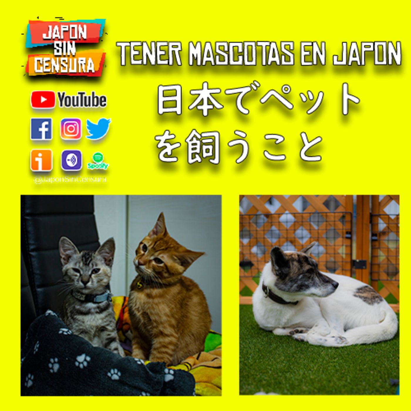 Japon Sin Censura Podcast