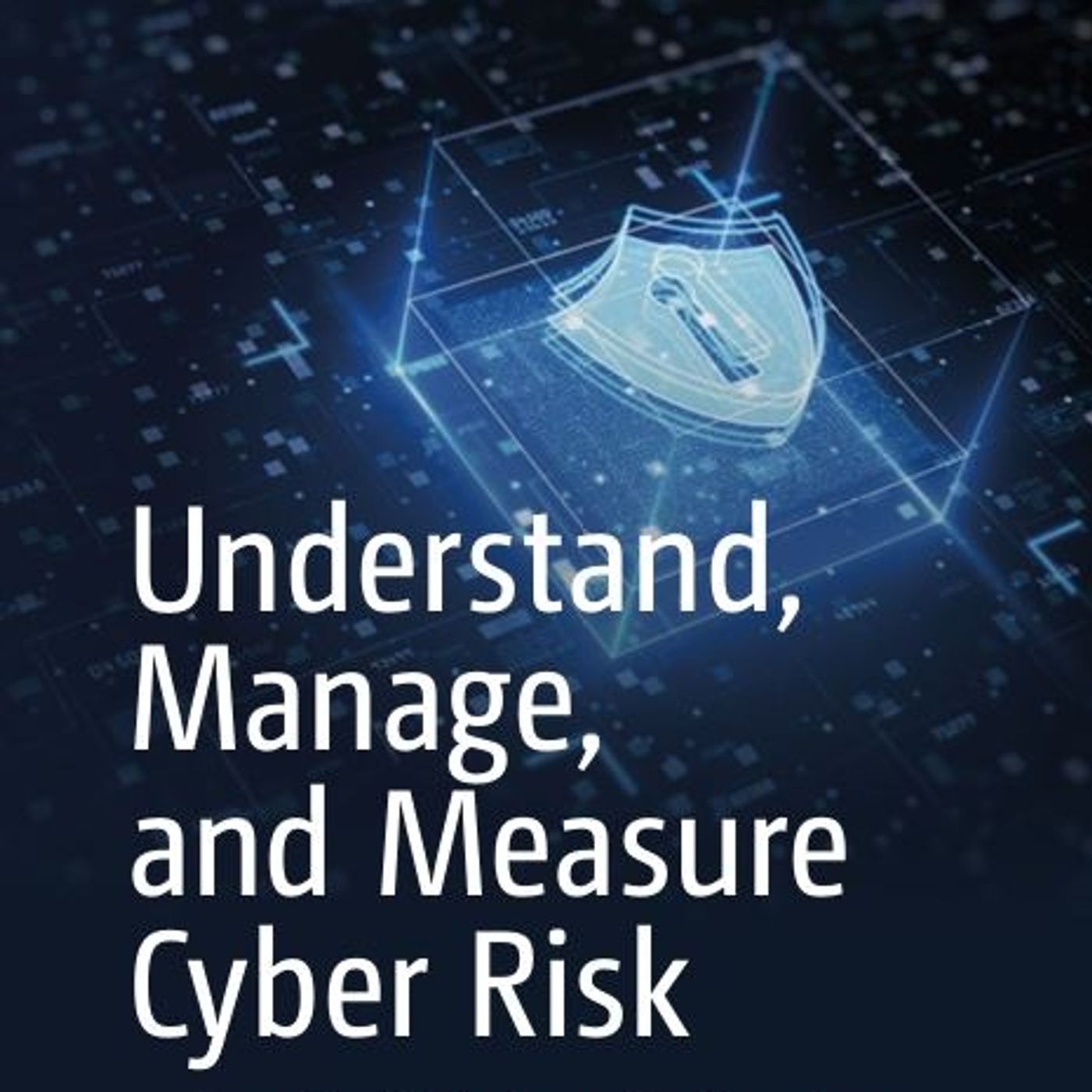 Understand, Manage, and Measure Cyber Risk: Practical Solutions for Creating a Sustainable Cyber Program