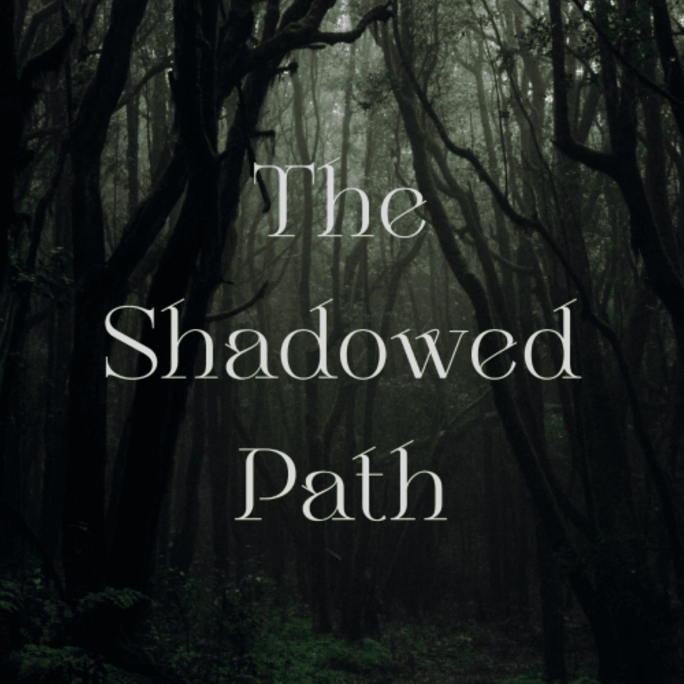 The Shadowed Path