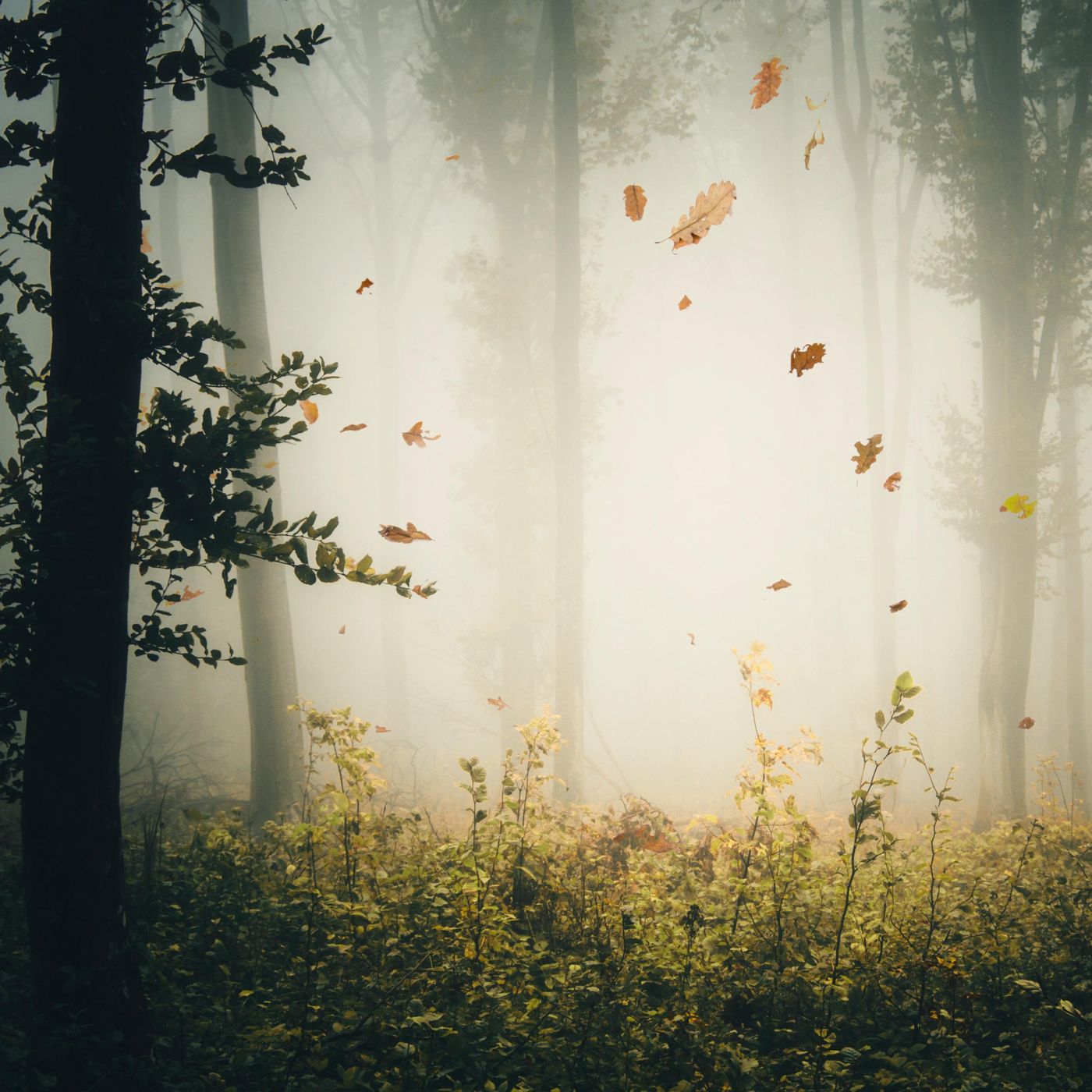 Sleep Sounds by Tmsoft