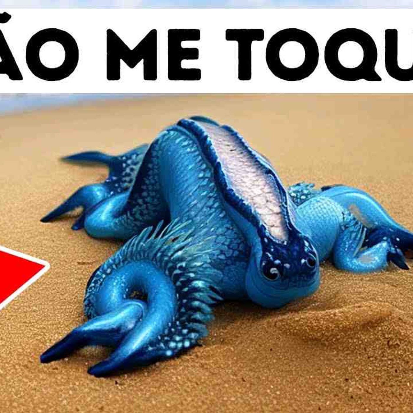 Se Vir Esta Criatura na Praia_ Mantenha Distância