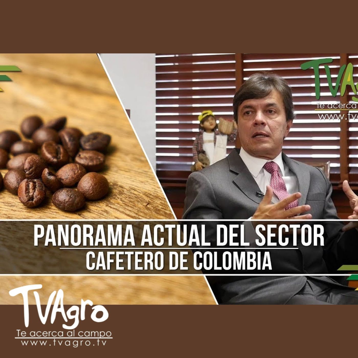 TV AGRO