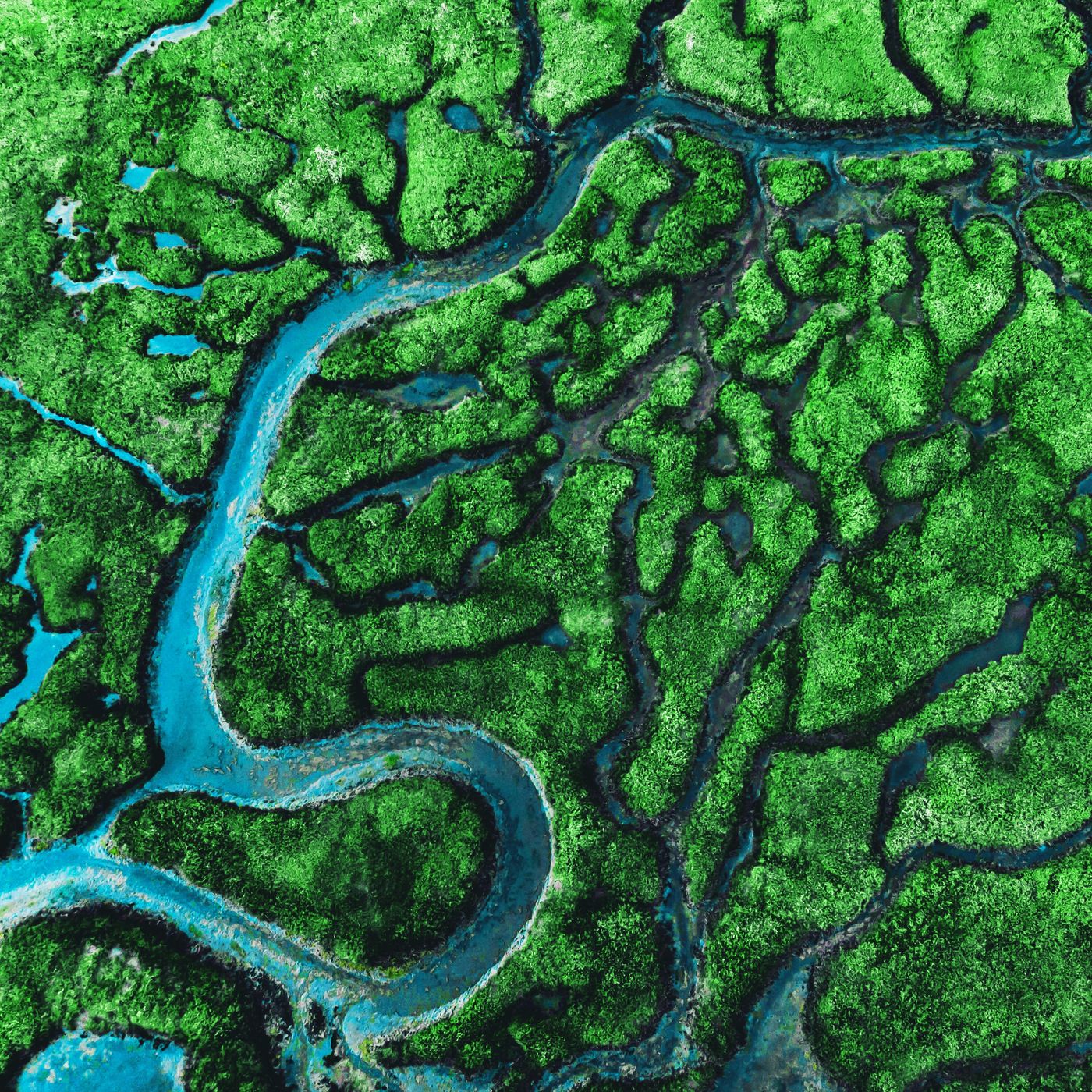 This science writer has seen Earth’s most amazing places. Here’s what she’s learned.
