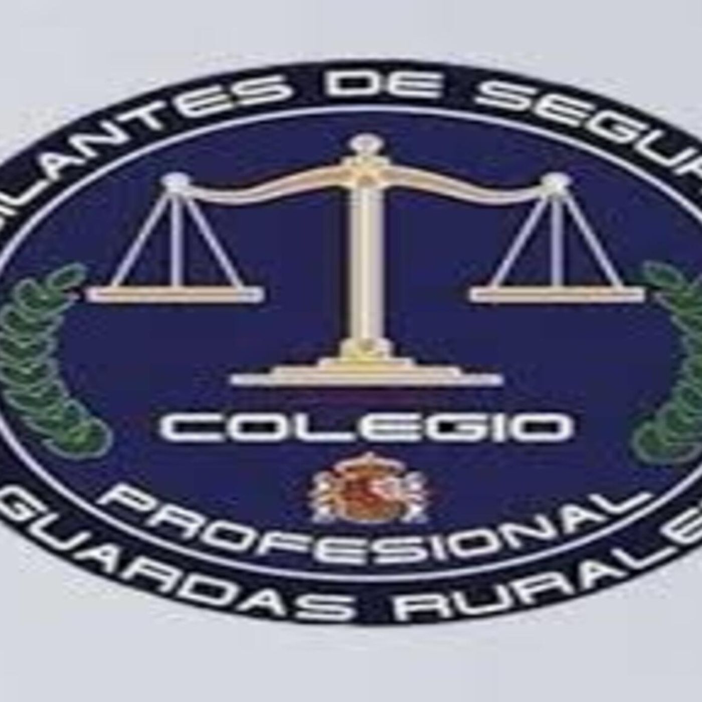 Futuro colegio profesional