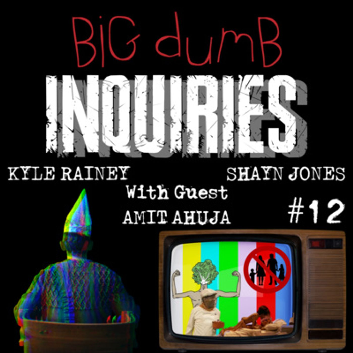 Big Dumb Inquiries #12 (Amit Ahuja)