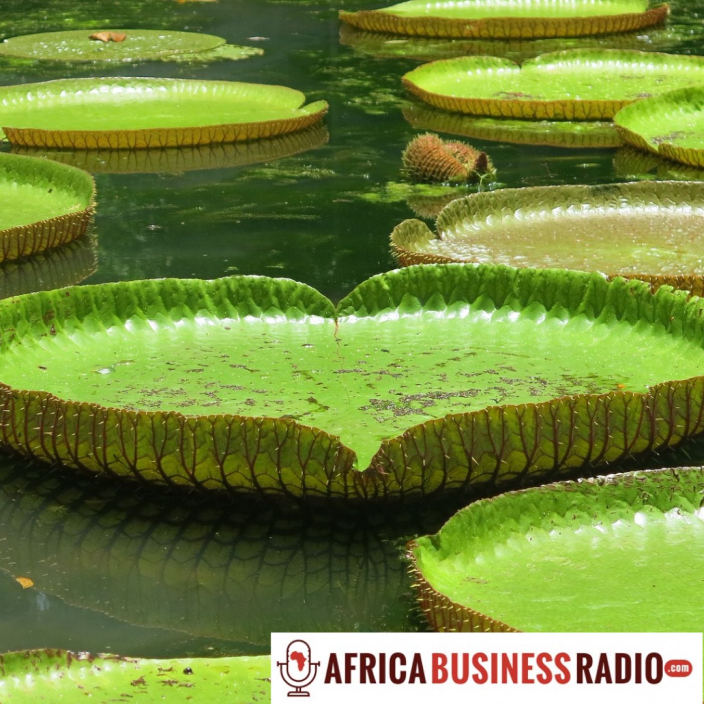 Mauritius Remains Highly Euro-centric In Terms of Travel/Tourism - World Leisure Holidays — SME Master Class cover
