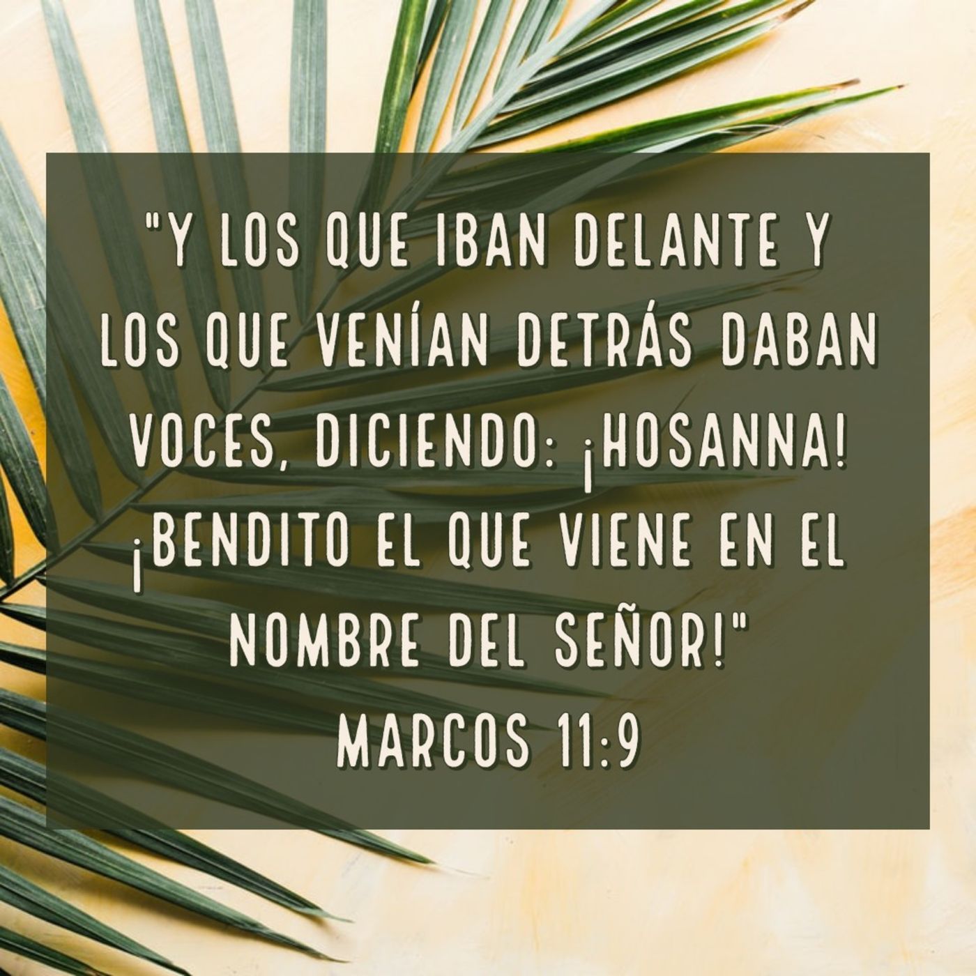 Ministerio UMCD - Un Momento Con Dios | Reflexiones Cristianas