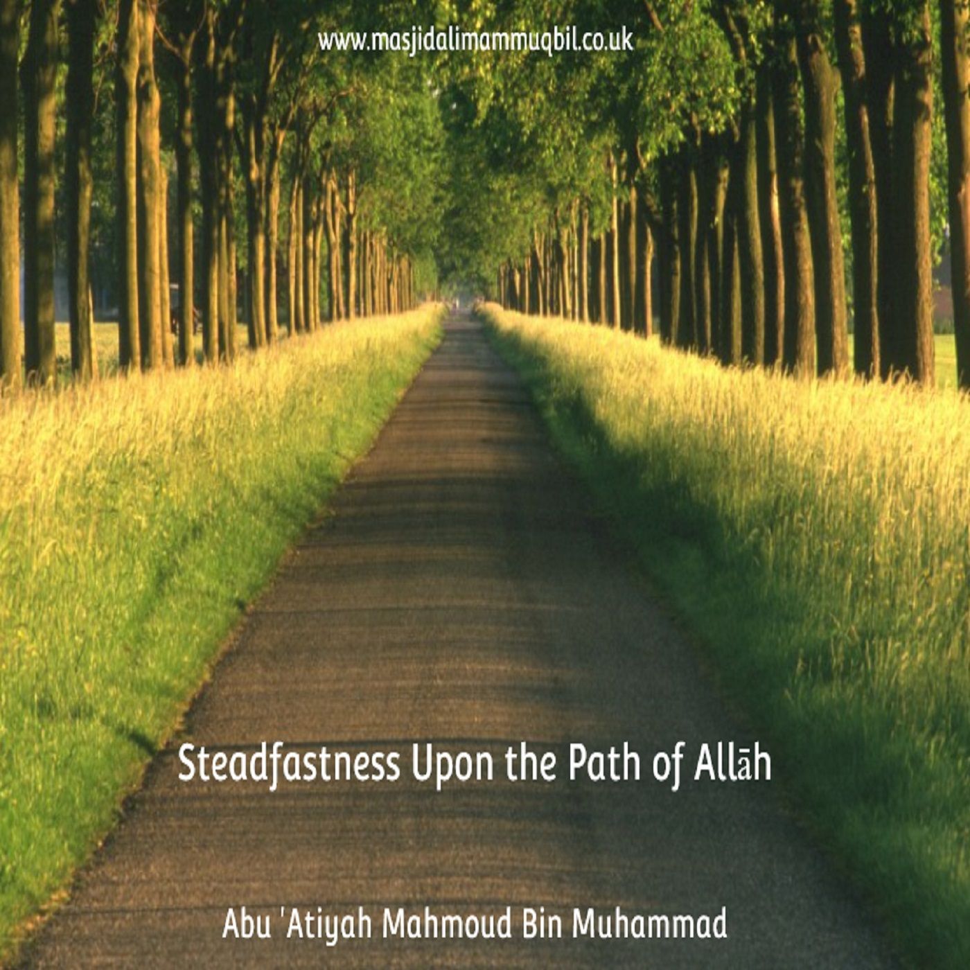 Steadfastness Upon the Path of Allāh | Abū 'Aṭīyah Maḥmūd bin Muḥammad episode artwork