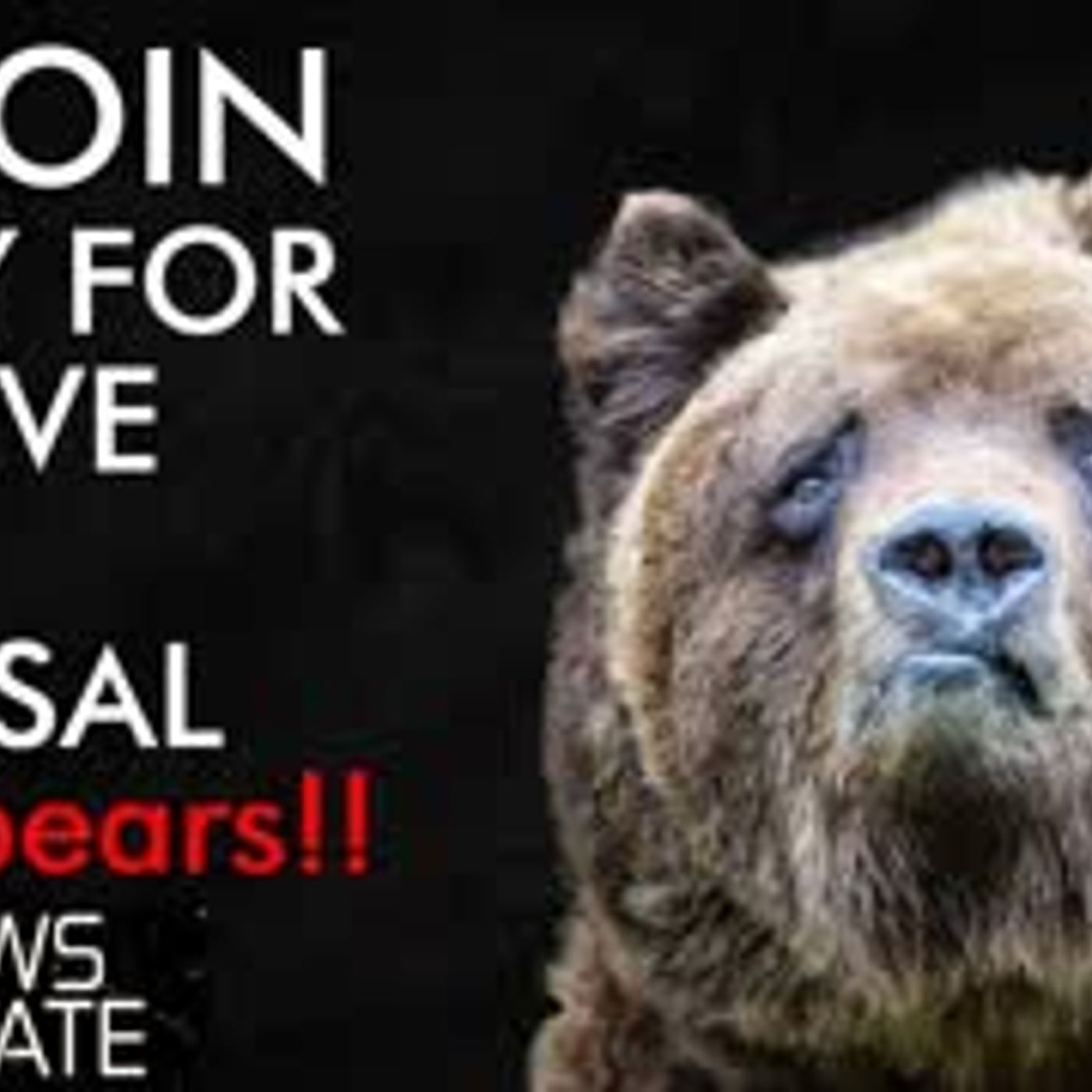 cover of episode Bitcoin Ready For Massive Price Reversal
