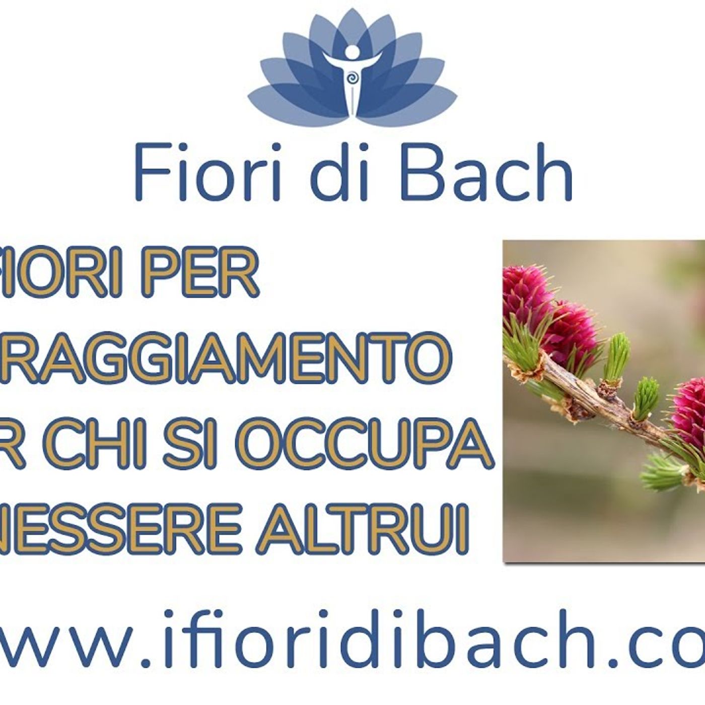 Elenco Fiori di Bach parte terza episode artwork