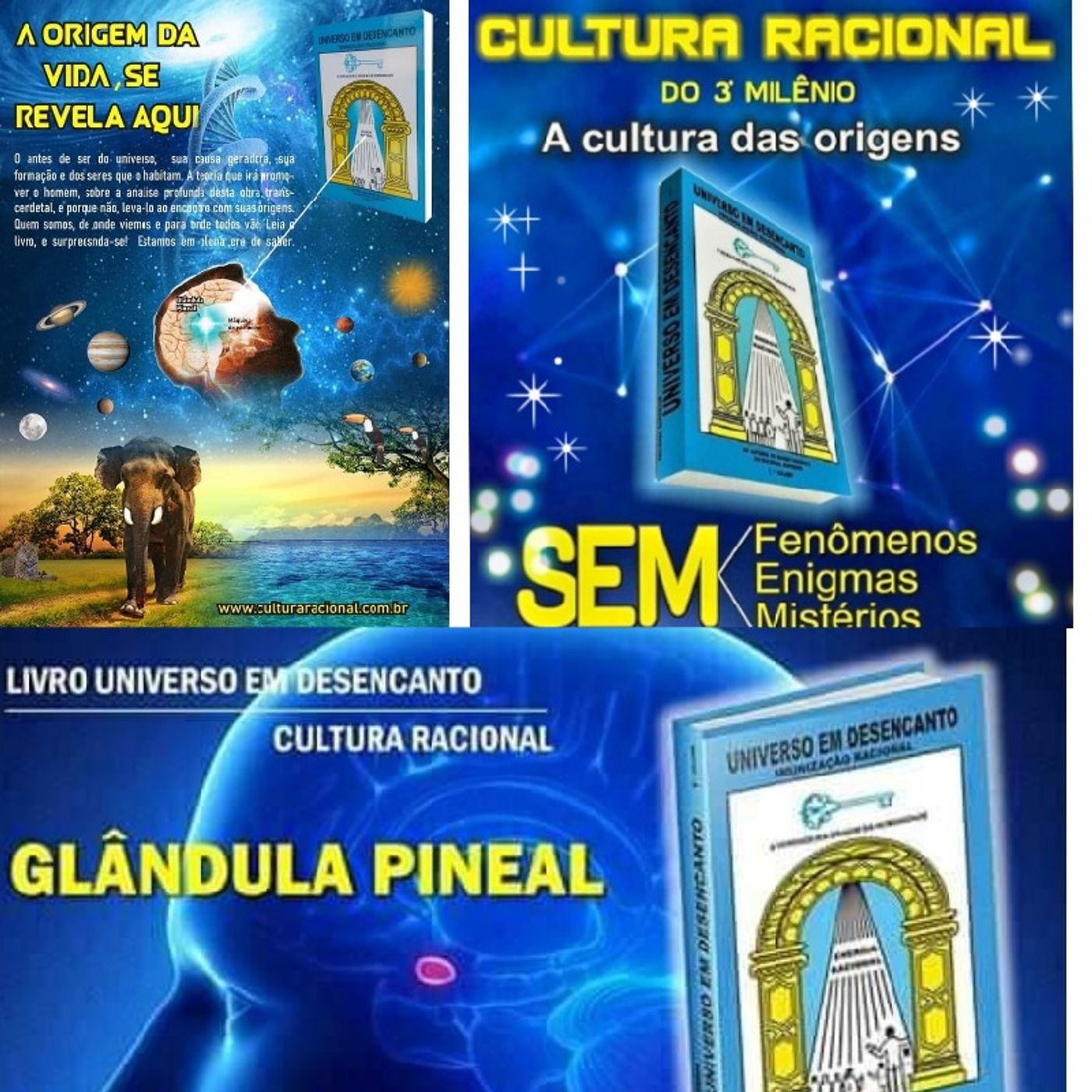 NATUREZA RACIONAL, A NATUREZA SUPERIOR. episode artwork