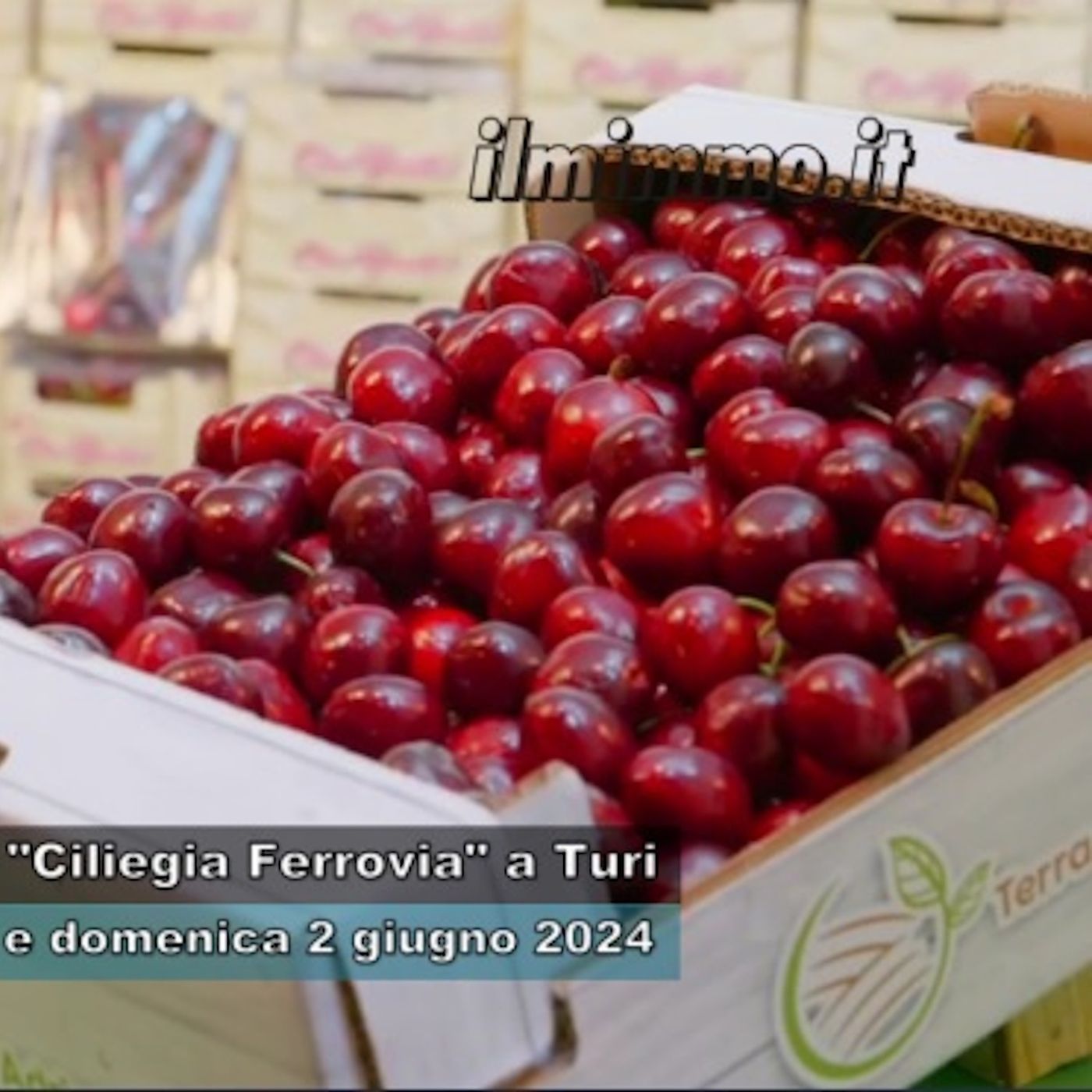 Sagra della Ciliegia Ferrovia a Turi episode artwork