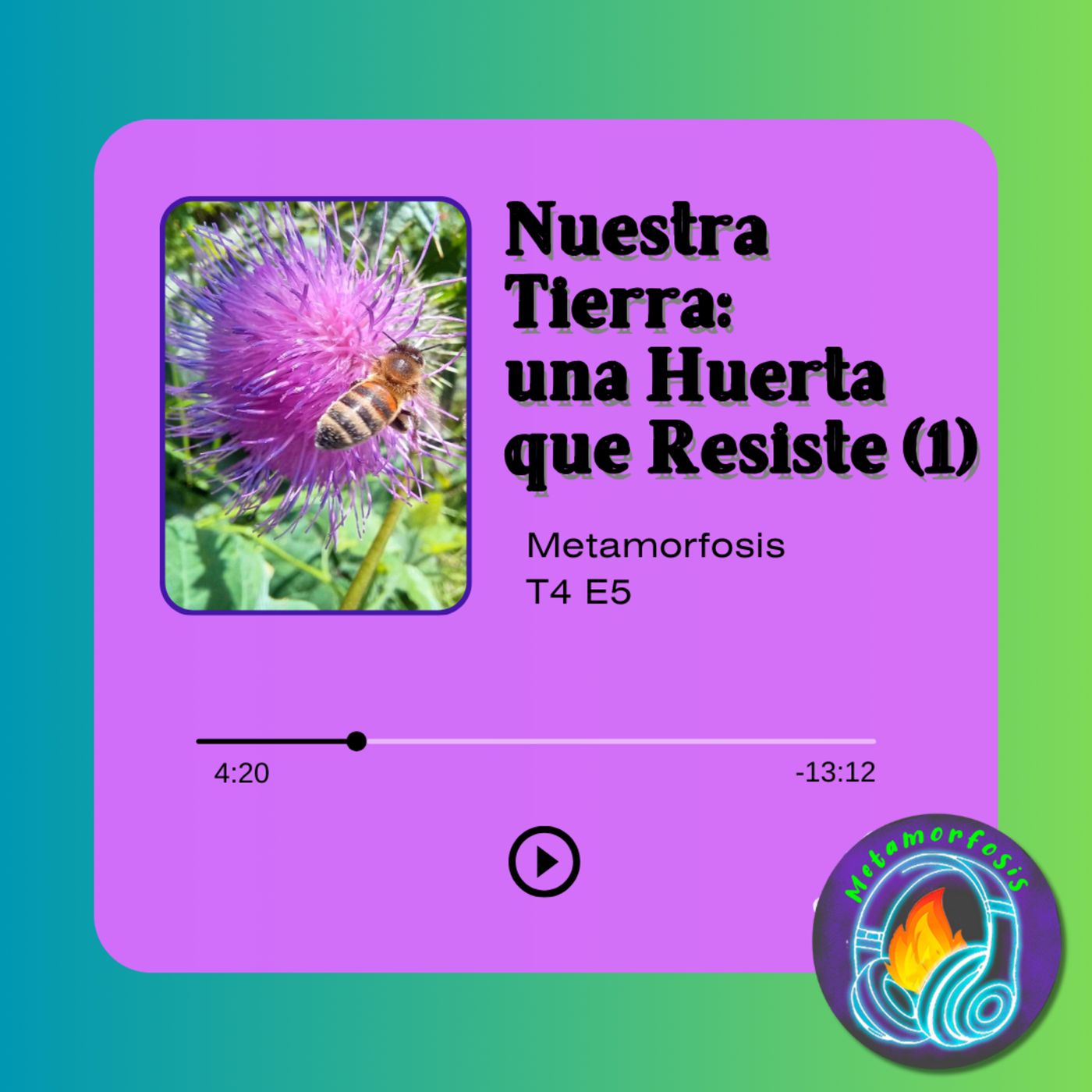 Metamorfosis
