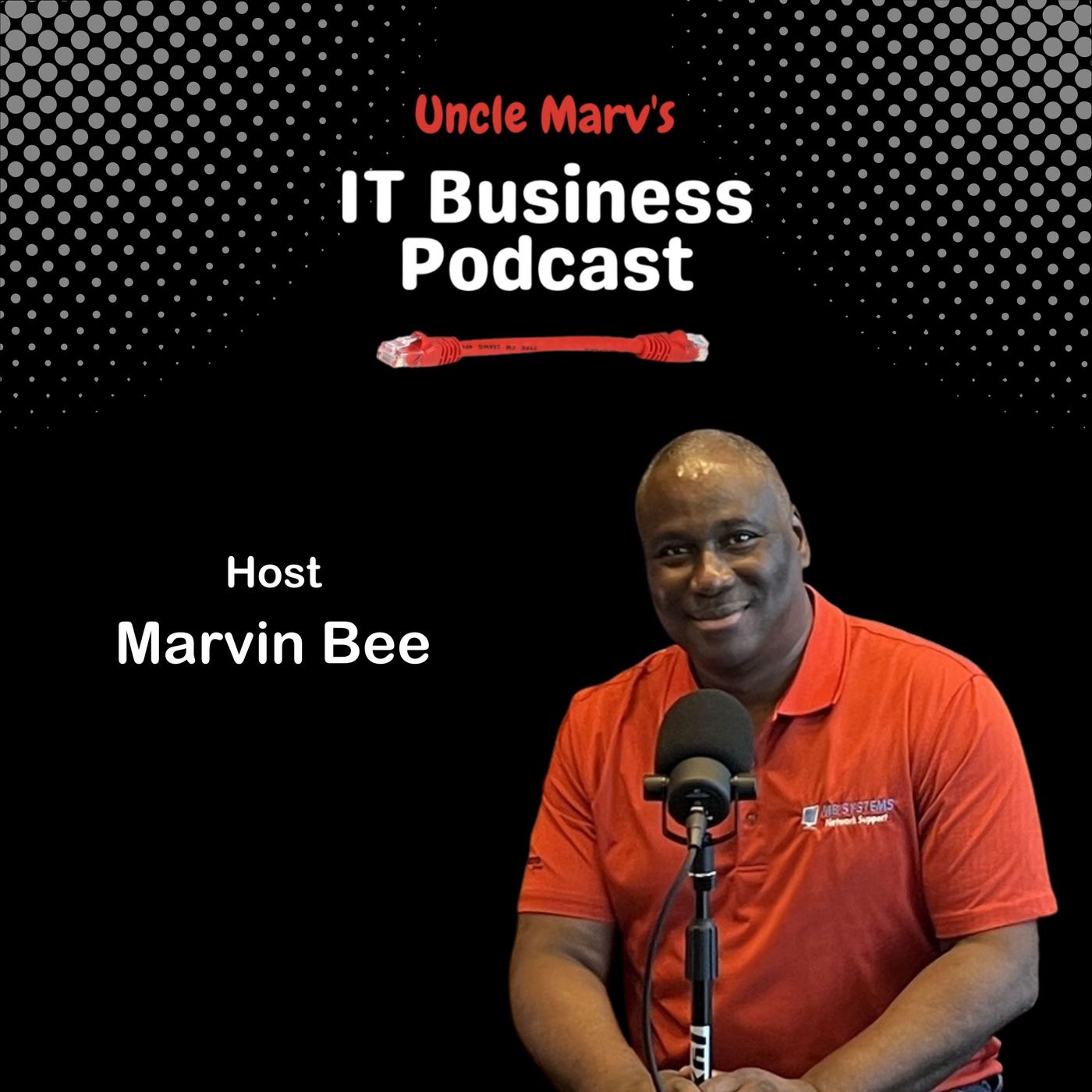 Uncle Marv\'s IT Business Podcast