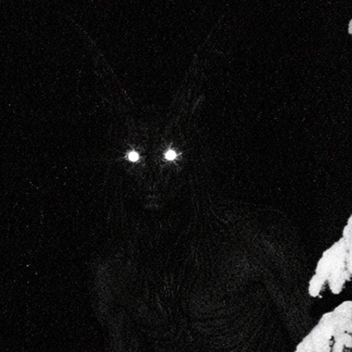 NAHUALES De La Sierra Tarahumara Historias De Terror - REDE