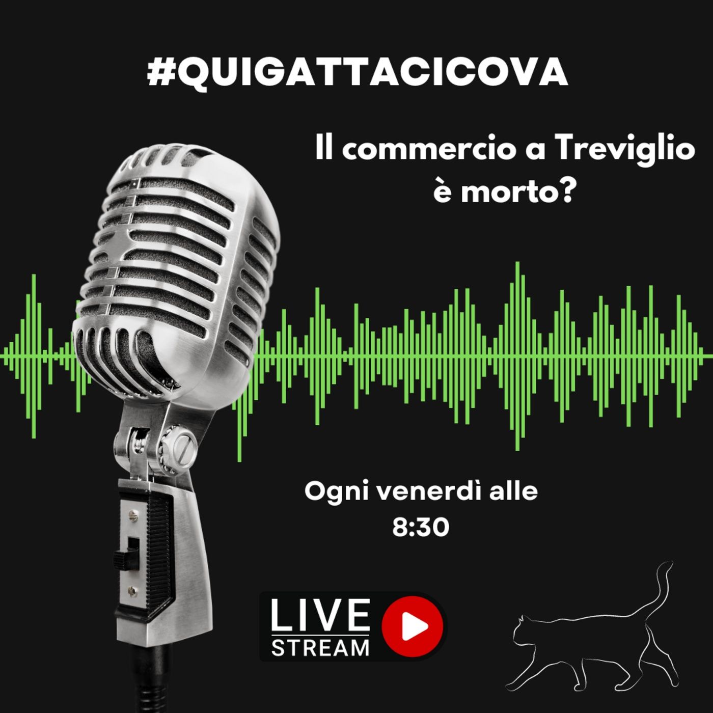 Quigattacicova - Il podcast della gatta trevigliese