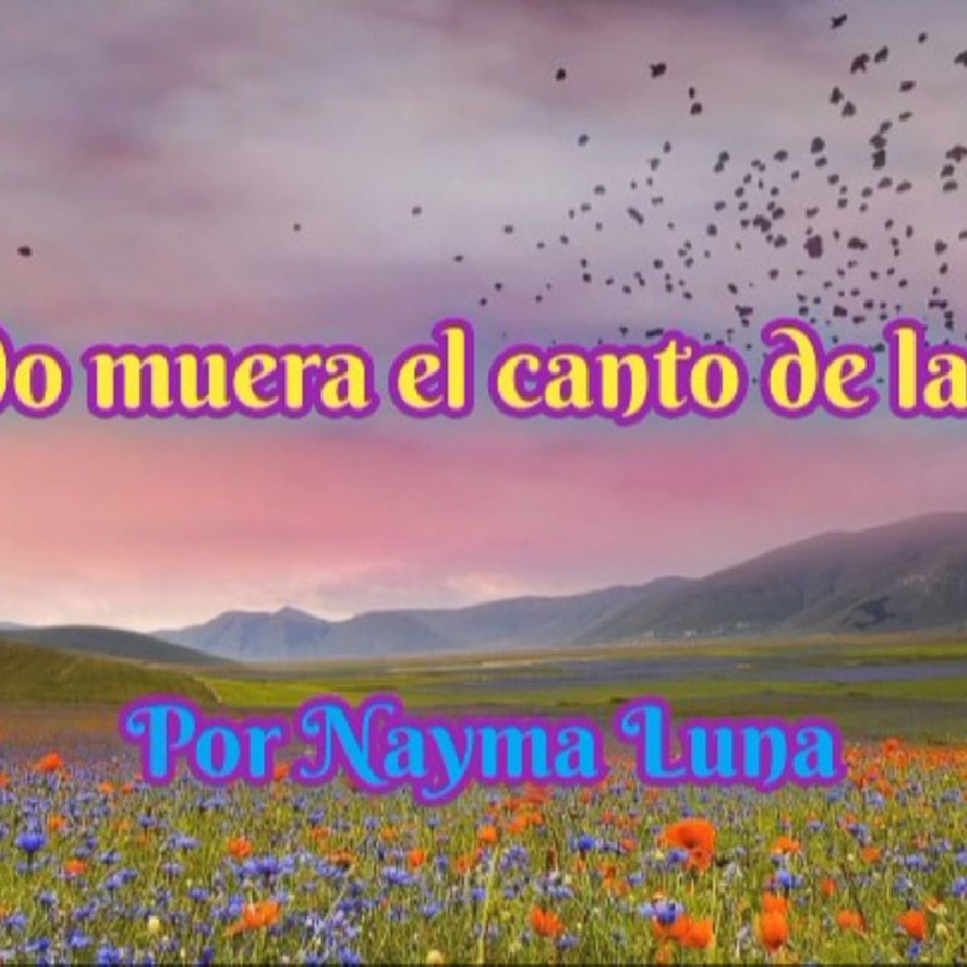 La burbuja de Nayma