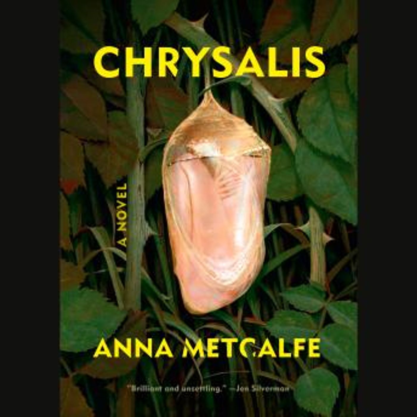 Download Best Full Audiobooks in Fiction, Contemporary Women