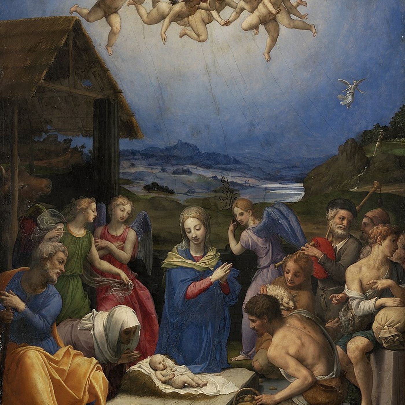 Southern Appalachian Herbs