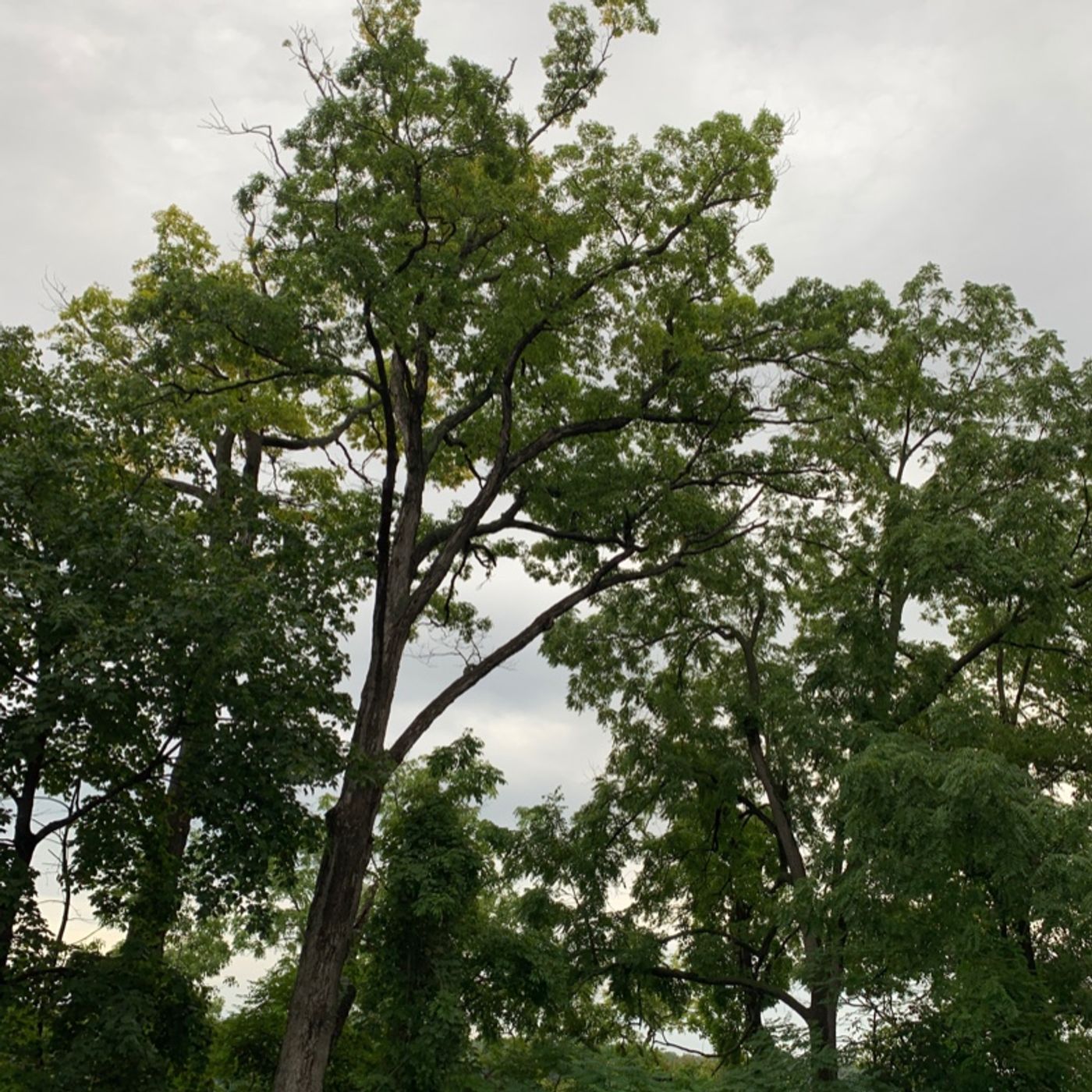 Prayer on the Go! - with Bishop Deb