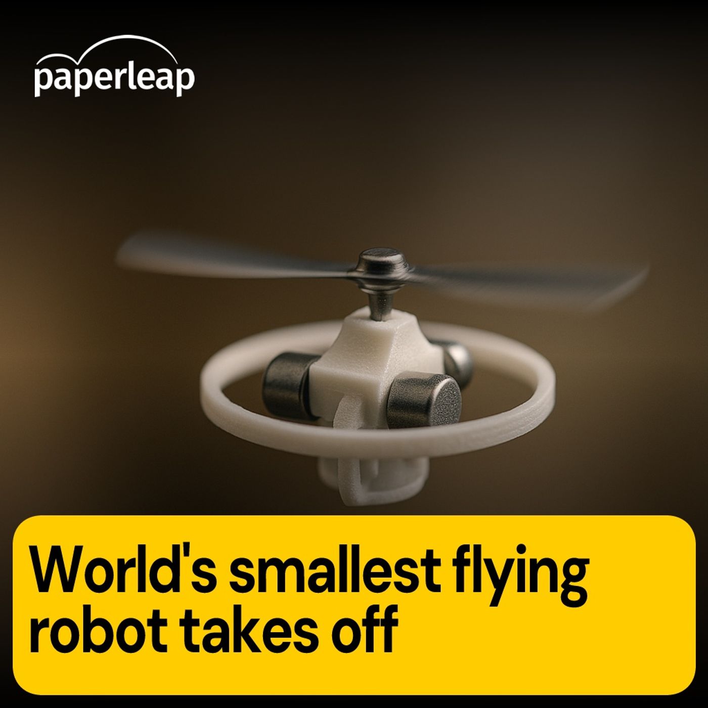 World's smallest untethered flying robot takes off