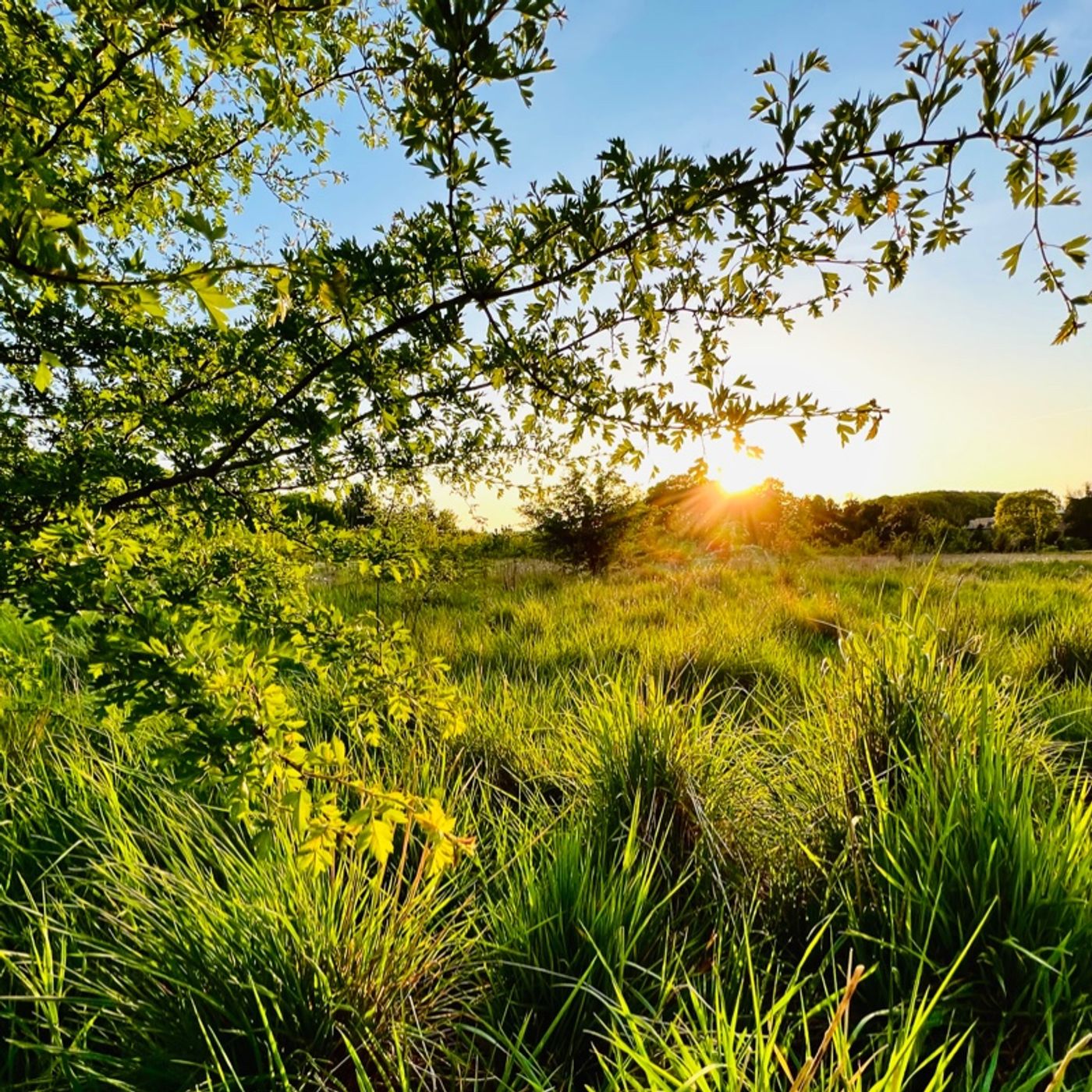 The Gentleman’s Talk