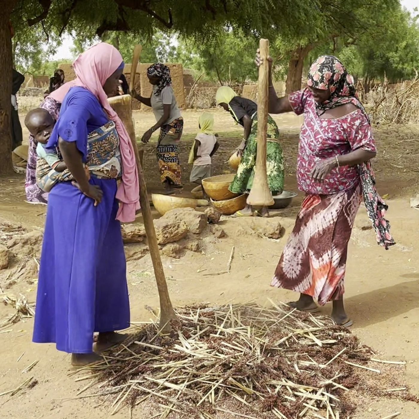 À Yama, le quotidien des femmes batteuses de mil (magazine) episode artwork