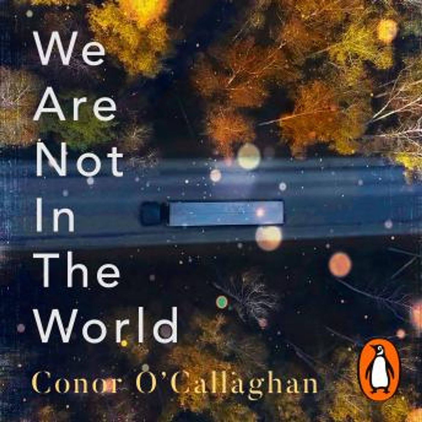 Download High-Quality Full Audiobooks in Fiction, Drama