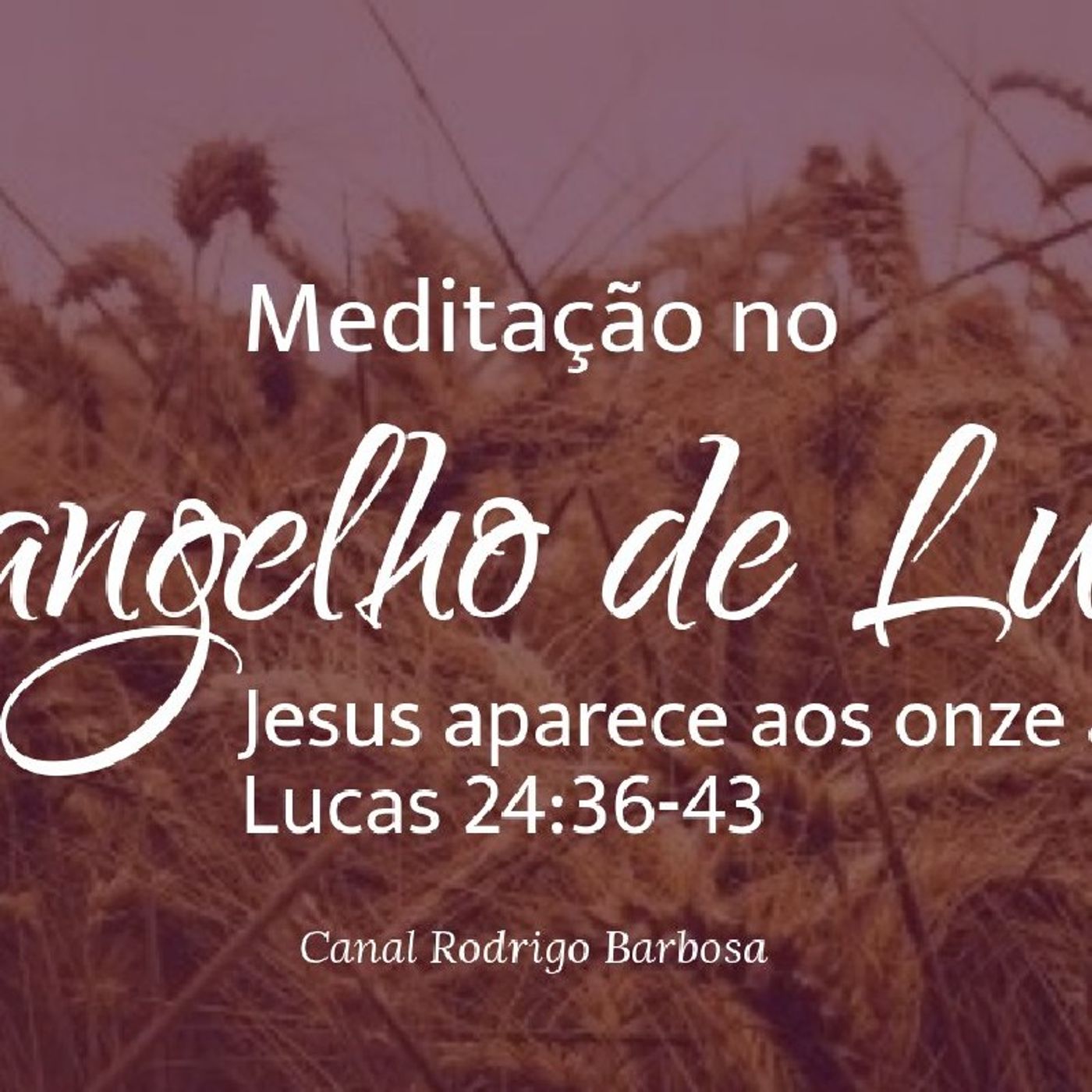 Rodrigo Barbosa