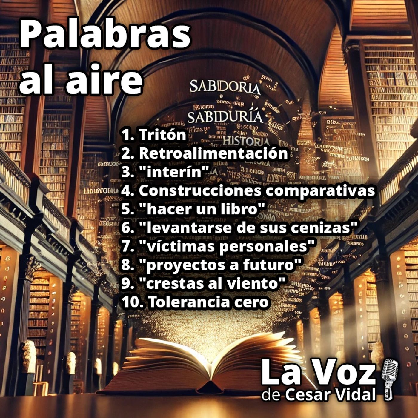 Palabras al aire - 17/11/25 episode artwork