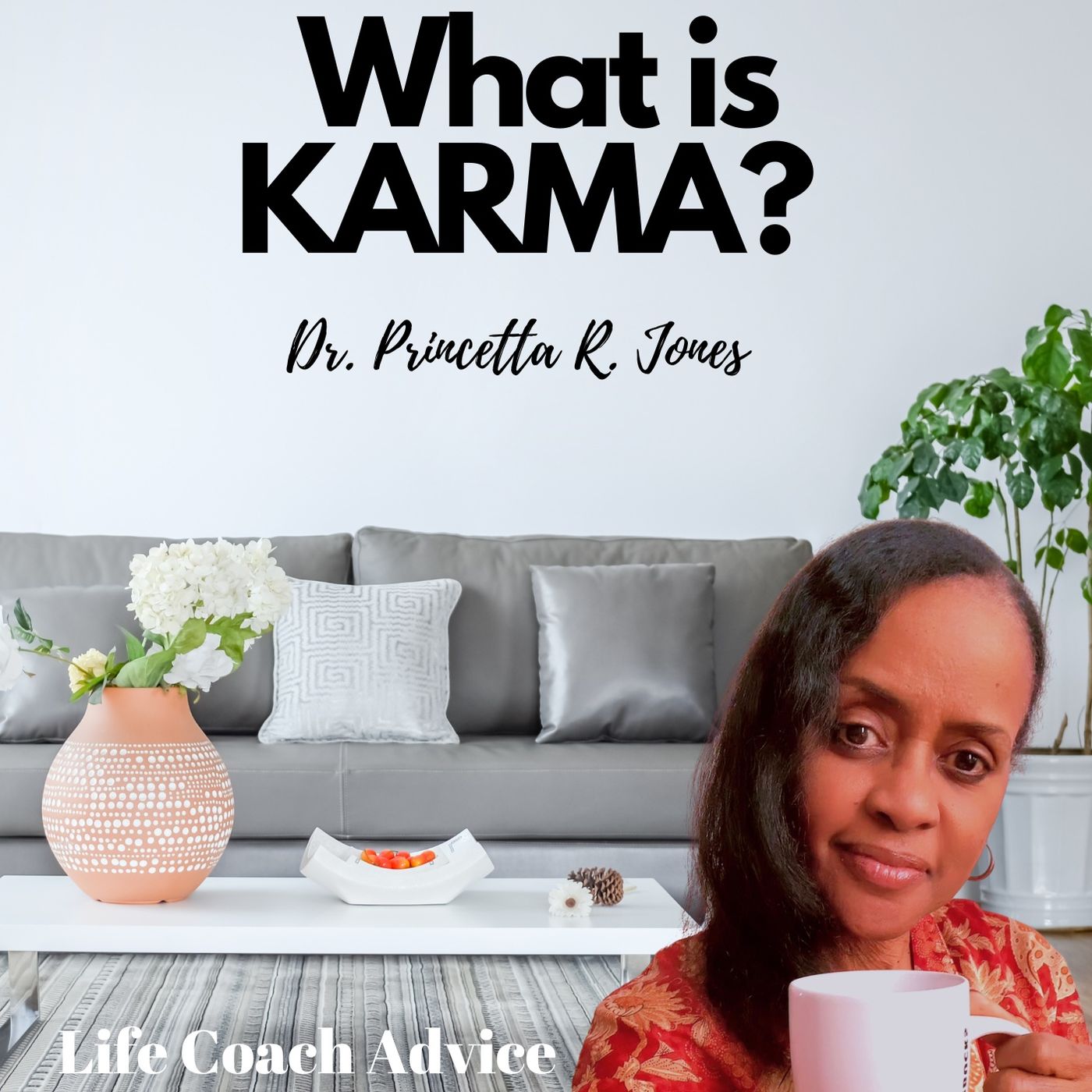 What is KARMA? episode artwork