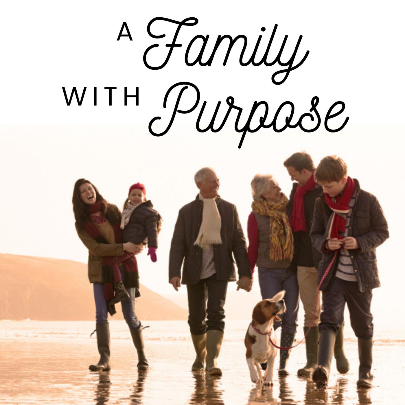 cover of episode A Family with a Purpose