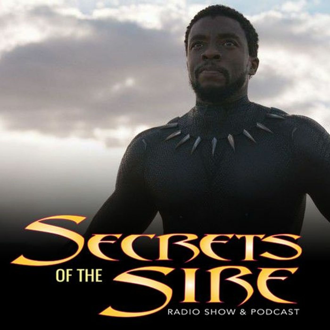SoS Ep 108: Black Panther Honest Review & Inside Scoop From The Stuntman
