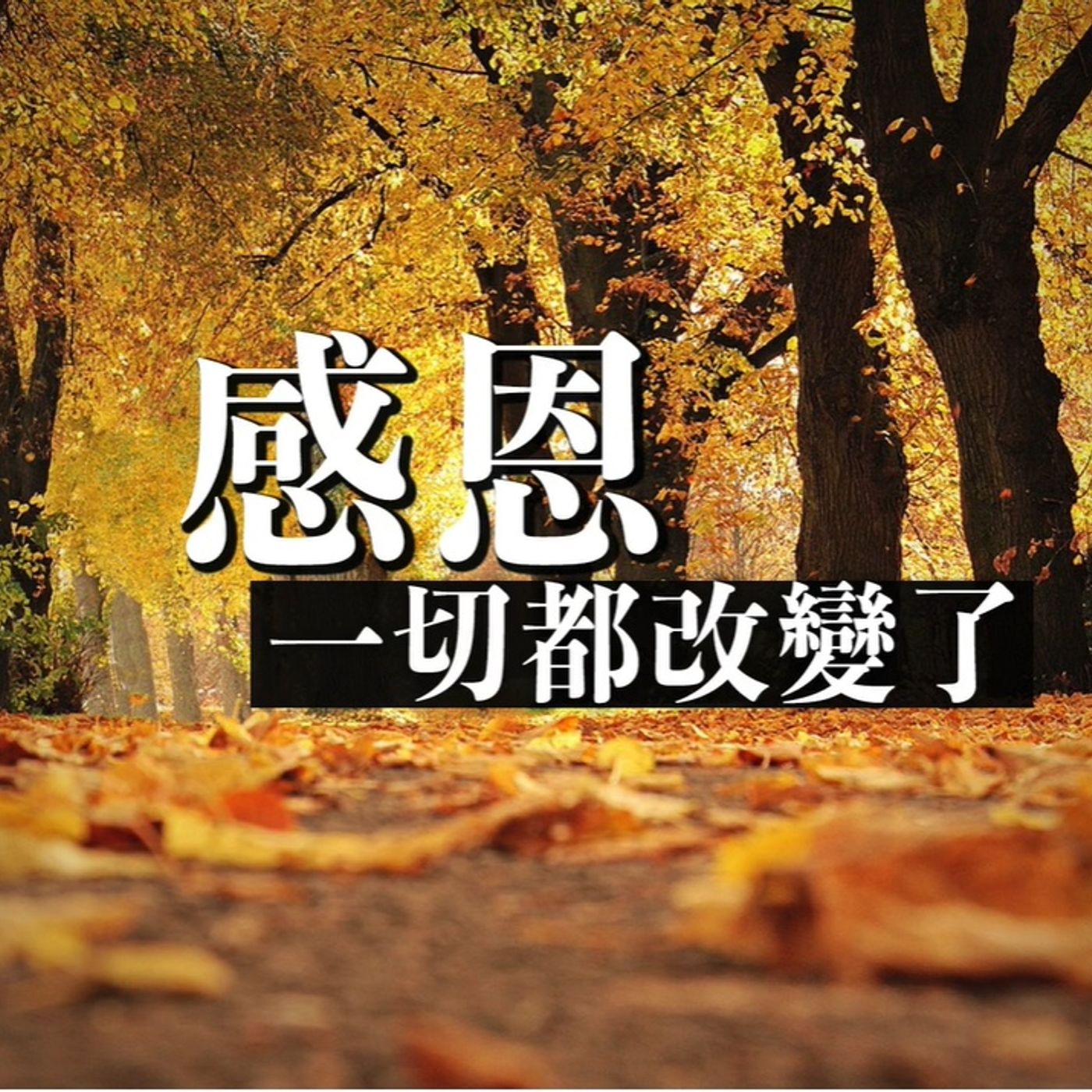 感恩一切都改變了| Jim Cheng episode artwork