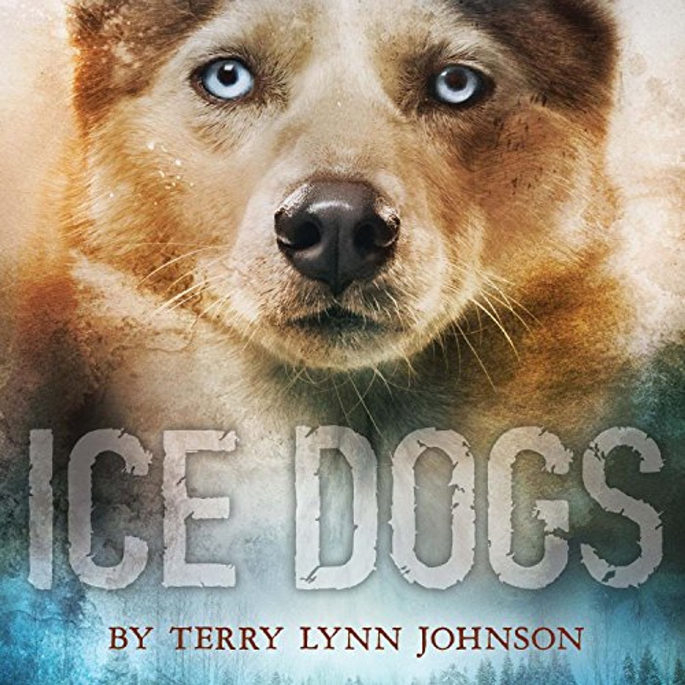 Discover Popular Authors Audiobooks in Kids, Ages 8-10