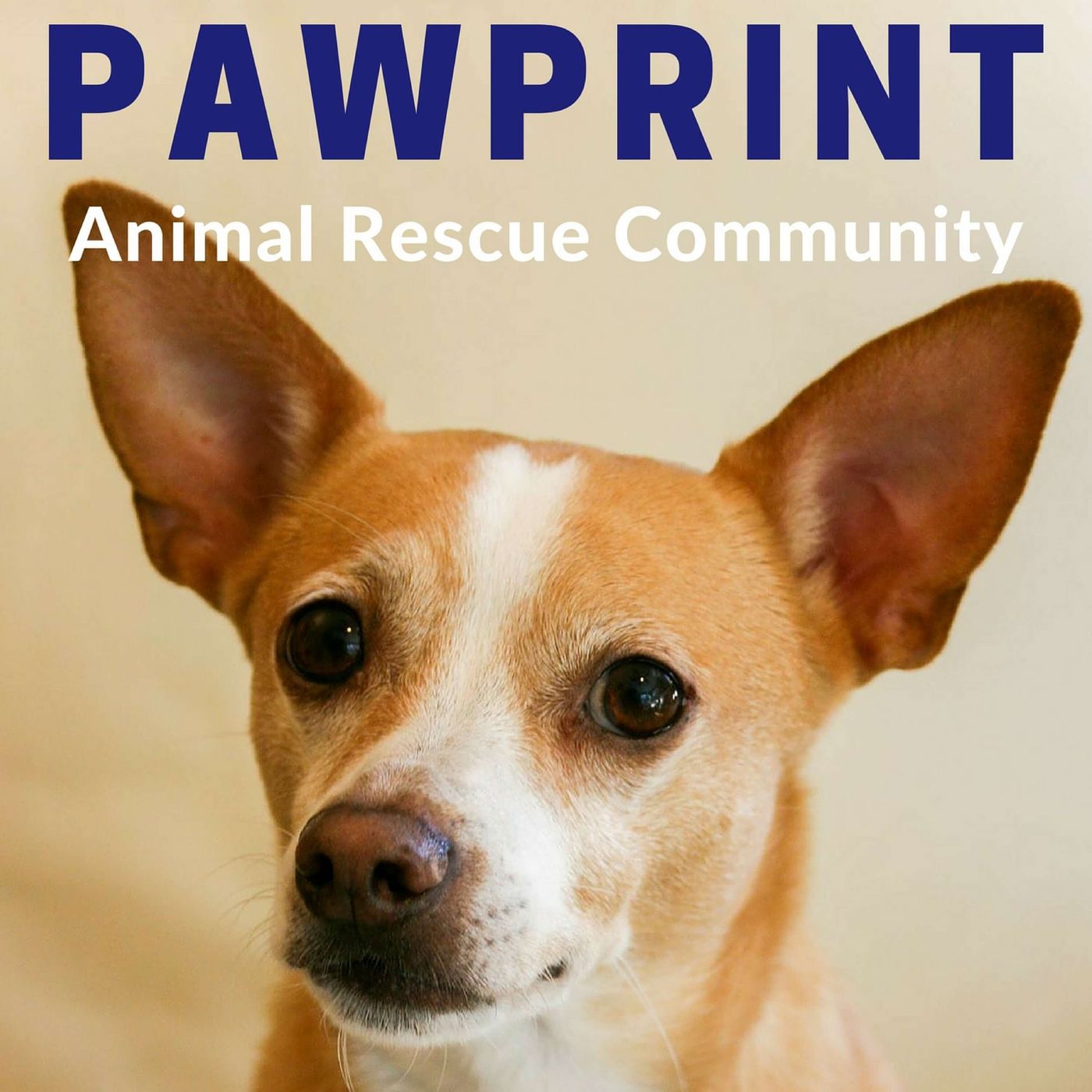 Pawprint | animal rescue podcast
