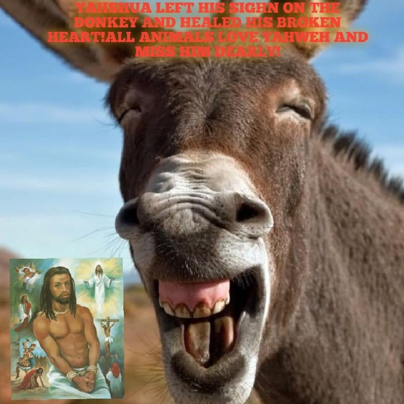 YAHSHUA LEFT HIS SIGHN ON THE DONKEY AND HEALED HIS BROKEN HEART!ALL ANIMALS LOVE YAHWEH AND MISS HIM DEARLY! episode artwork