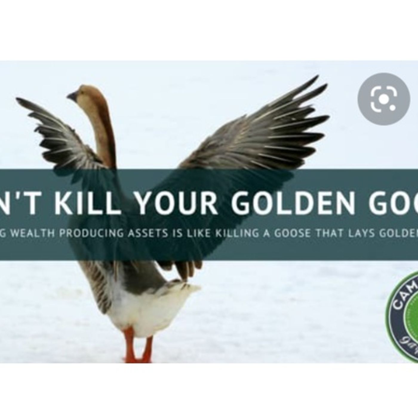 Don't Kill The Goose That Lays The Golden Eggs: 619-768-2945