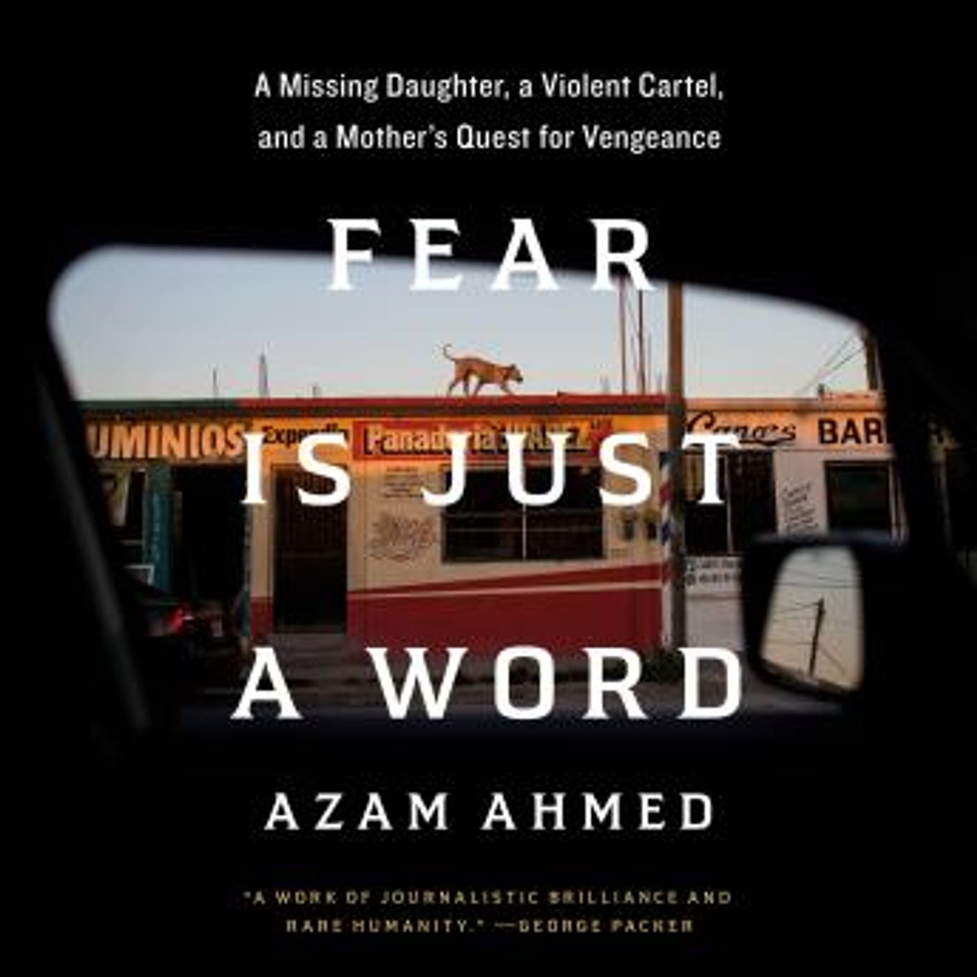 Fear Is Just a Word: A Missing Daughter, a Violent Cartel, and a Mother's Quest for Vengeance by Azam Ahmed episode artwork