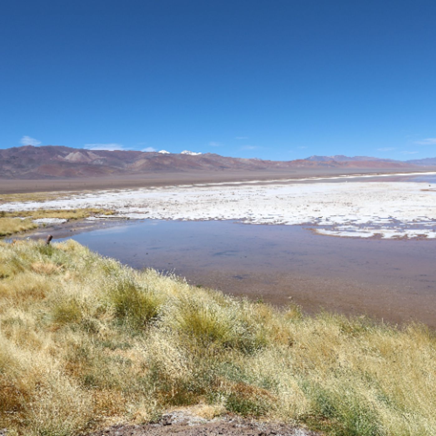 Ckutckuntur: sonidos del salar