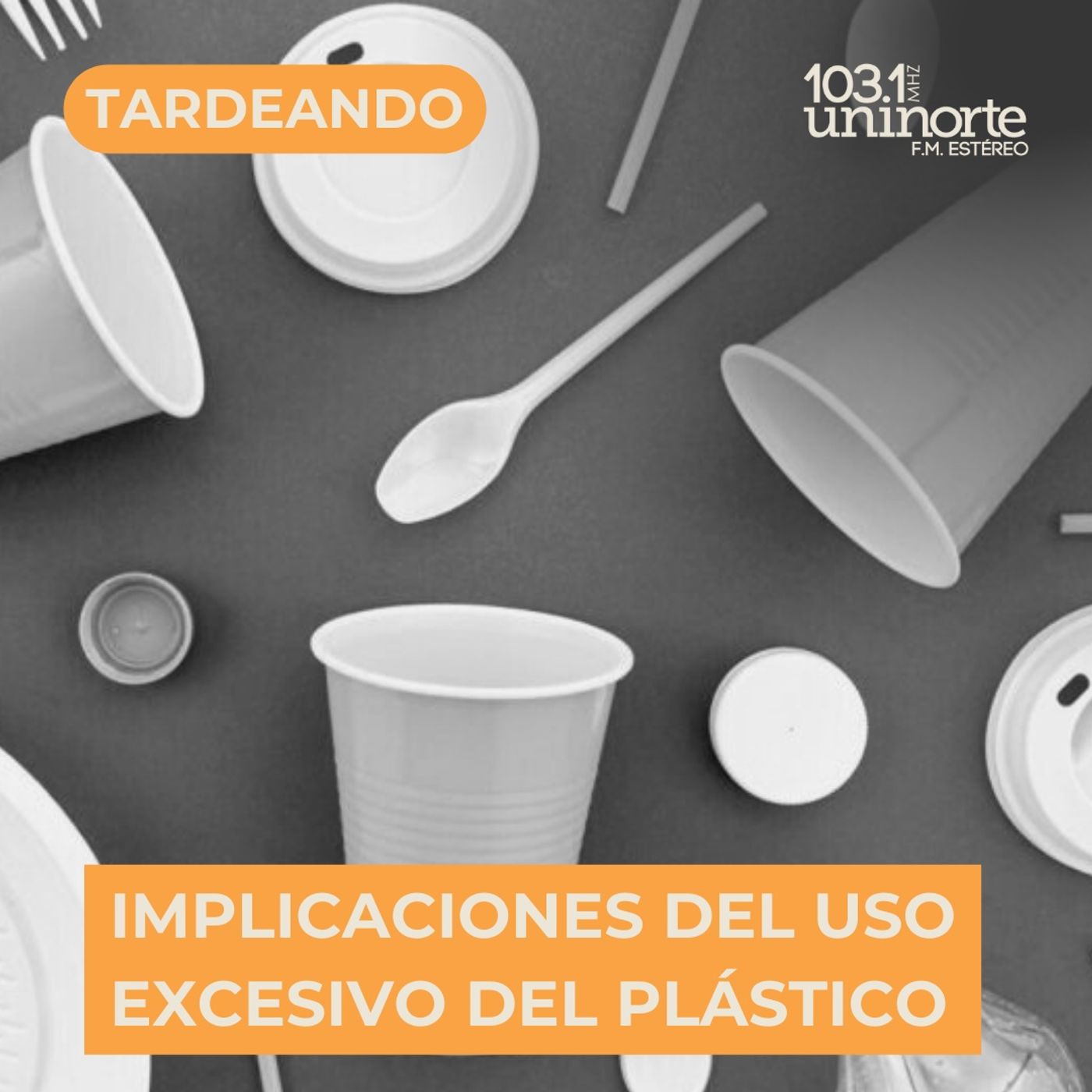 Implicaciones del usos excesivo del plástico en la salud. INVITADO: Victor Flores. Biólogo episode artwork