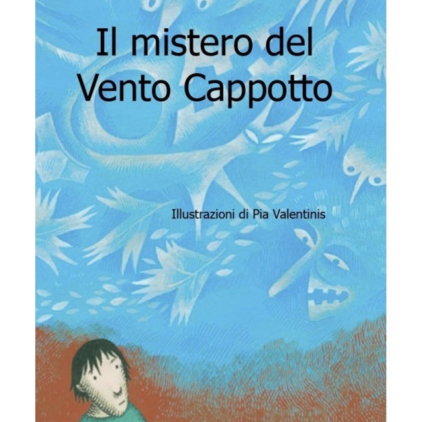 Copertina di Il mistero del vento cappotto