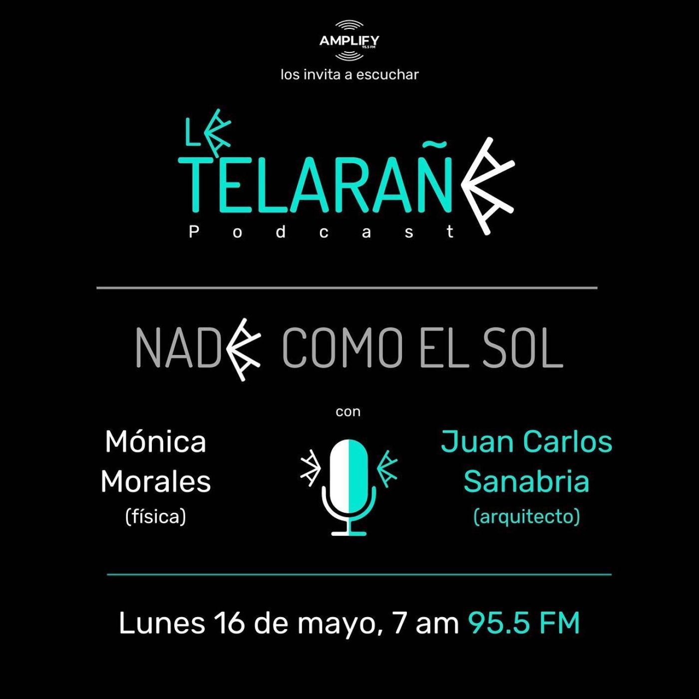 Portada de La Telaraña