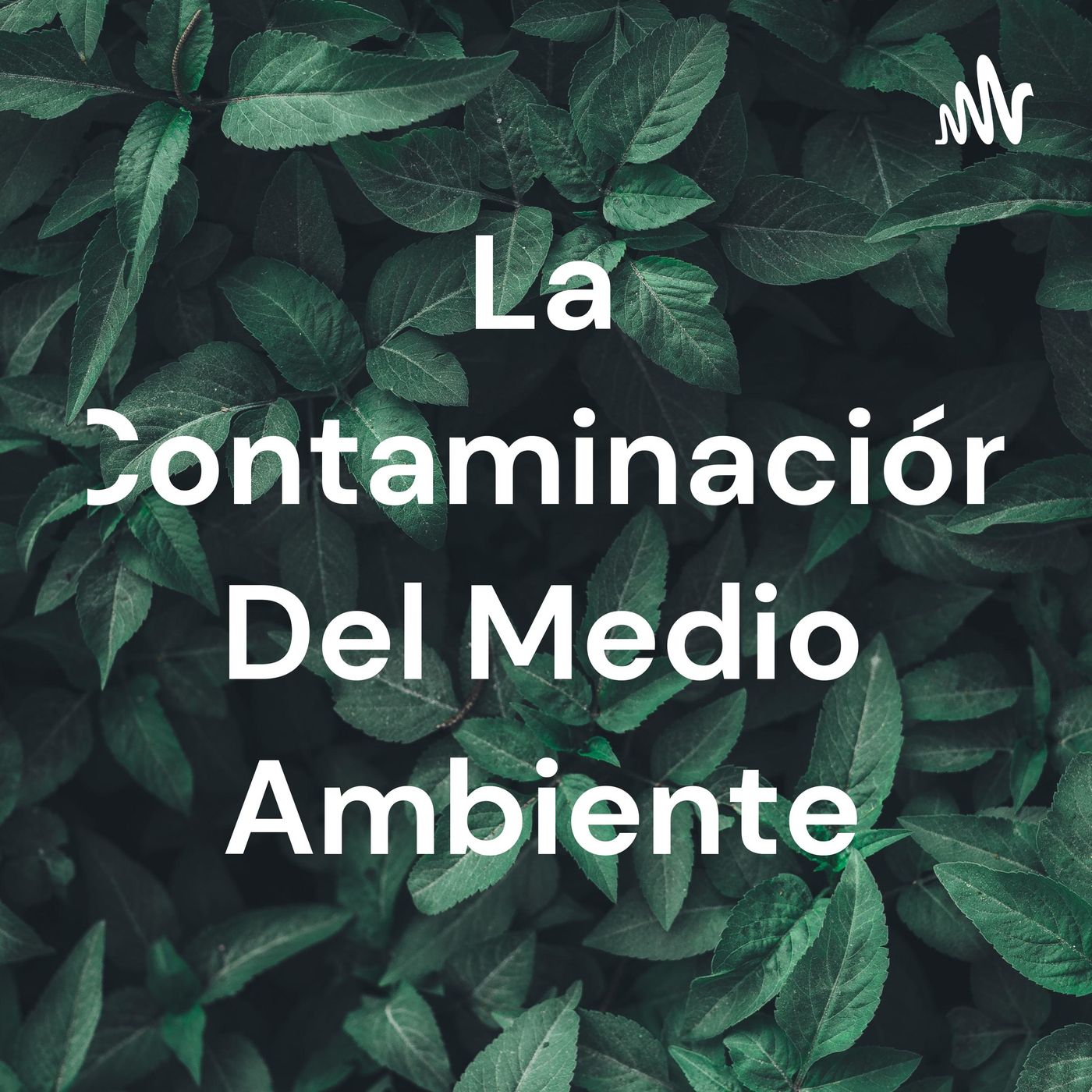 La Contaminación Del Medio Ambiente
