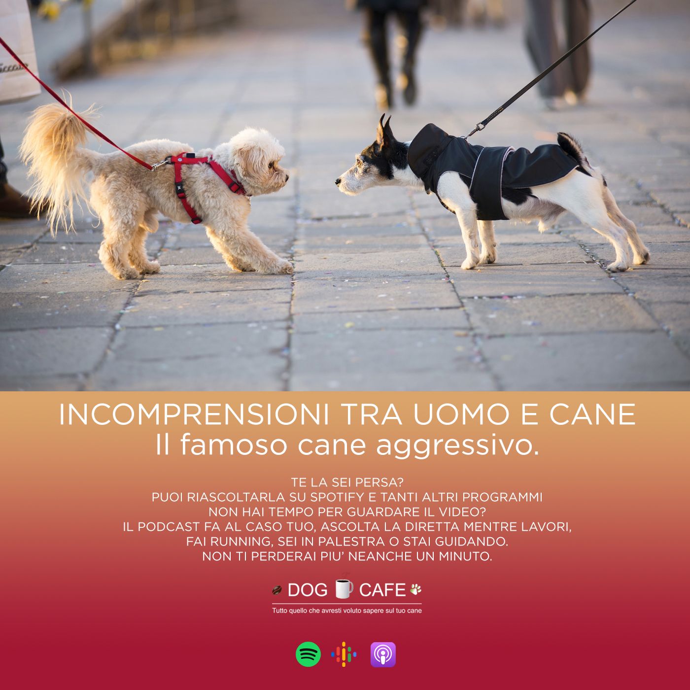 Dog Cafe Podcast