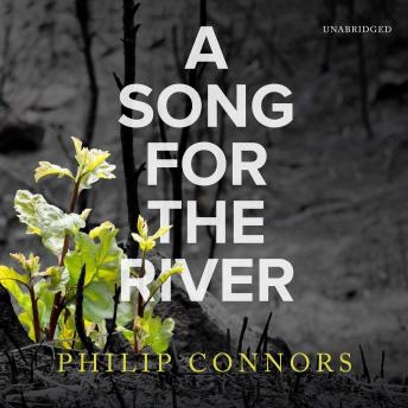 Stream Popular Free Audiobooks in Biography & Memoir, Memoirs