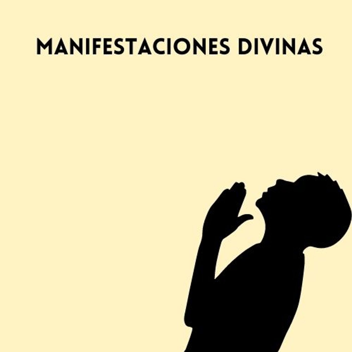 Manifestaciones divinas