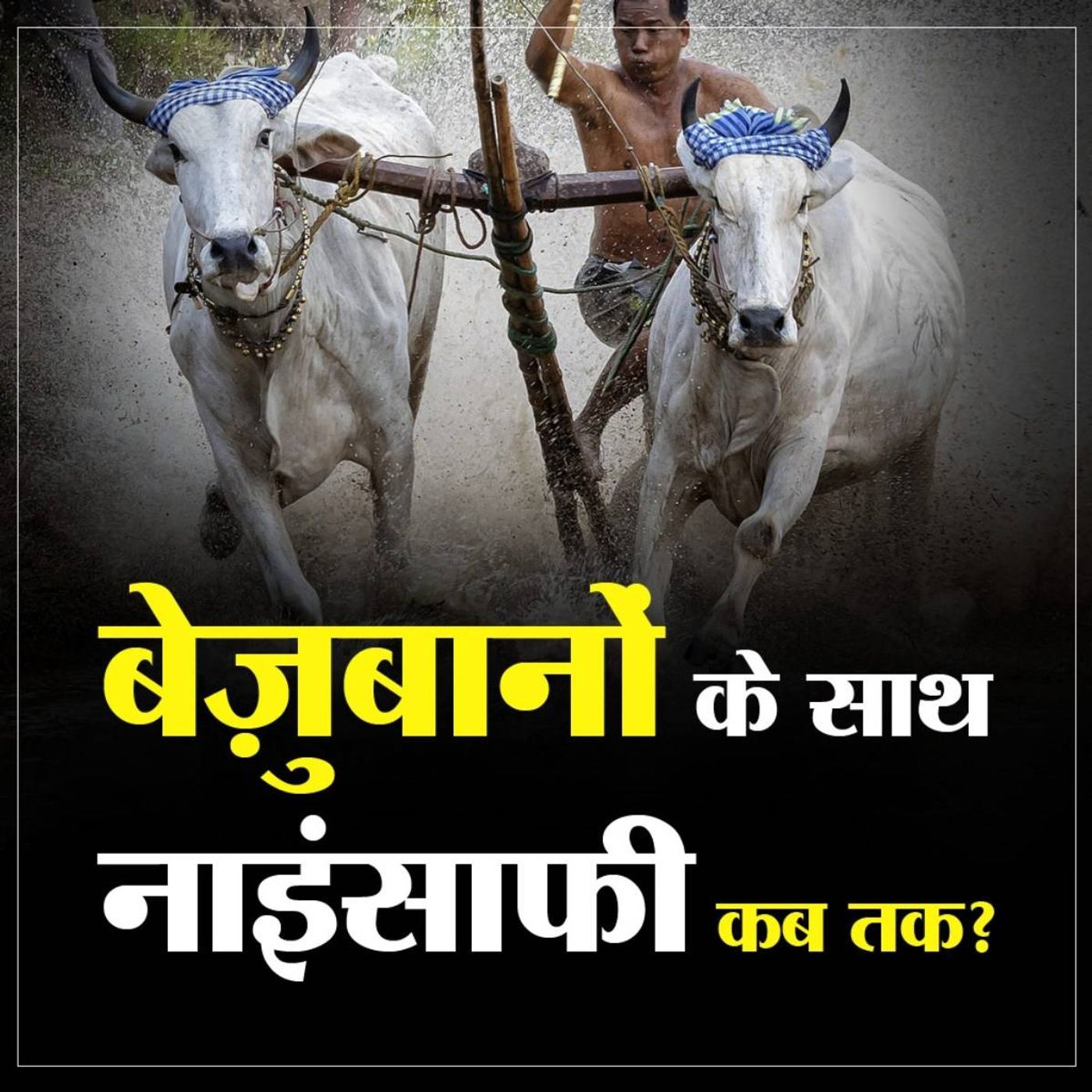 कैसे बदलेगा पशु-पक्षियों के प्रति समाज का नज़रिया episode artwork