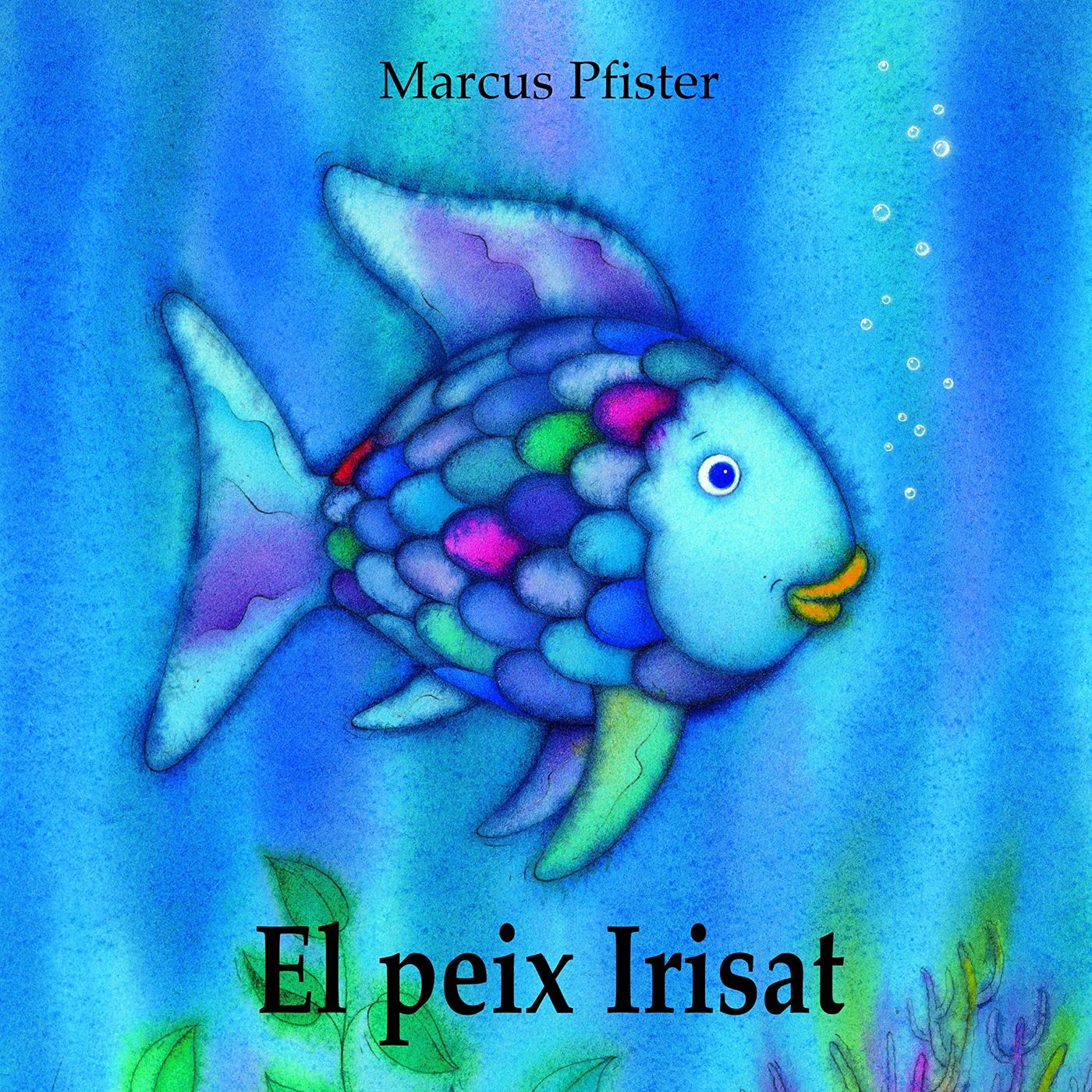 Roda de Contes (63 - El peix irisat) 12 05 22 episode artwork