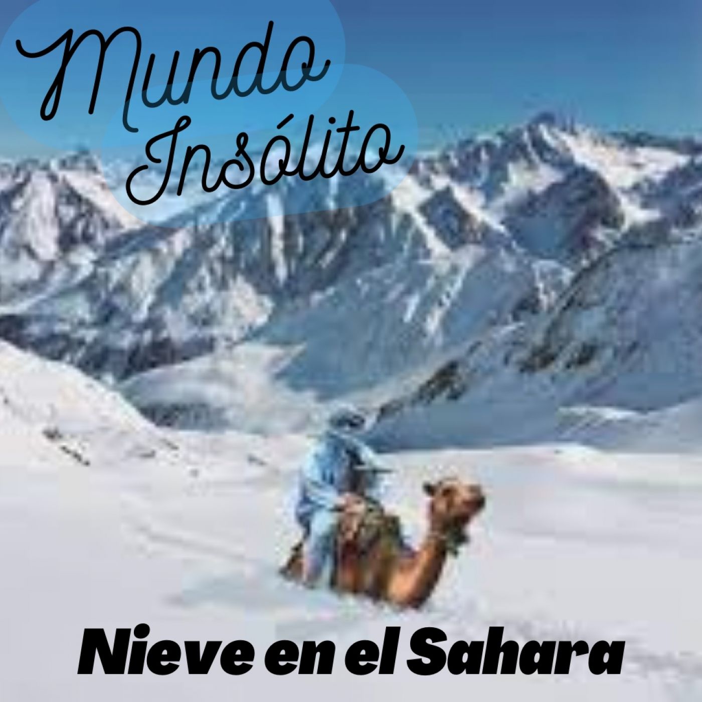 Informativo Digital
